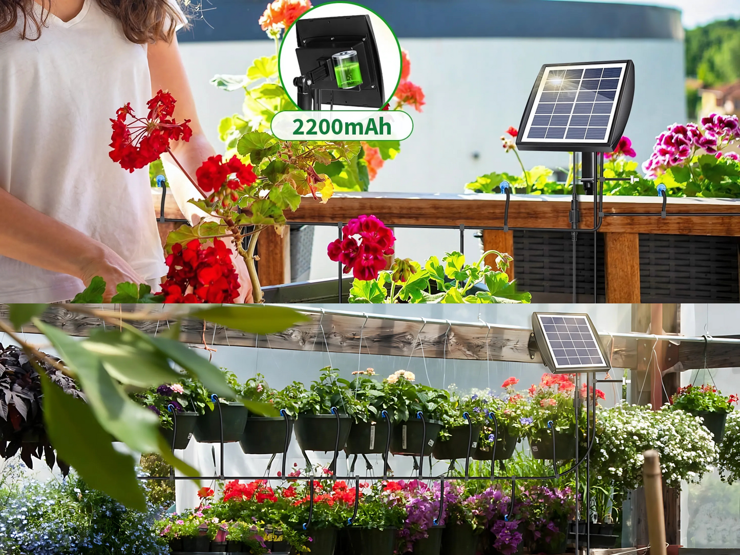 SUNCHHAYA Solar Powered Irrigation System Kit, 20 Plants Automatic Watering System